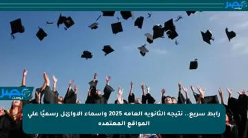 رابط سريع.. نتيجة الثانوية العامة 2025 وأسماء الأوائل رسميًا على المواقع المعتمدة